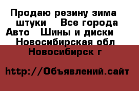 Продаю резину зима 2 штуки  - Все города Авто » Шины и диски   . Новосибирская обл.,Новосибирск г.